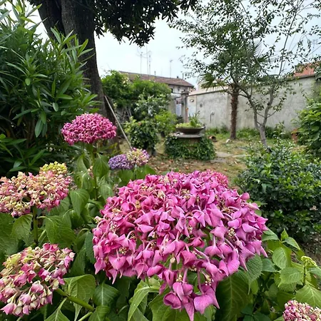 Boutique - We Via Assisi Turijn