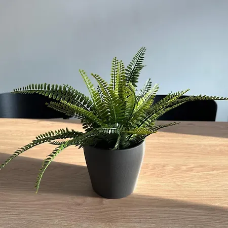 Boutique - We Via Assisi